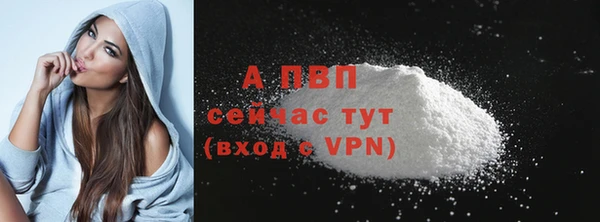 спиды Волоколамск