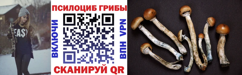 Галлюциногенные грибы мухоморы Певек